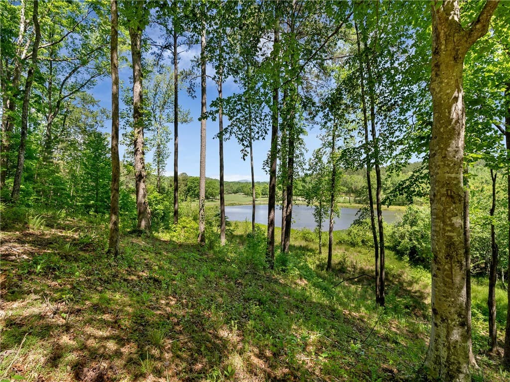 Lot 75 Eagle Ridge Way
