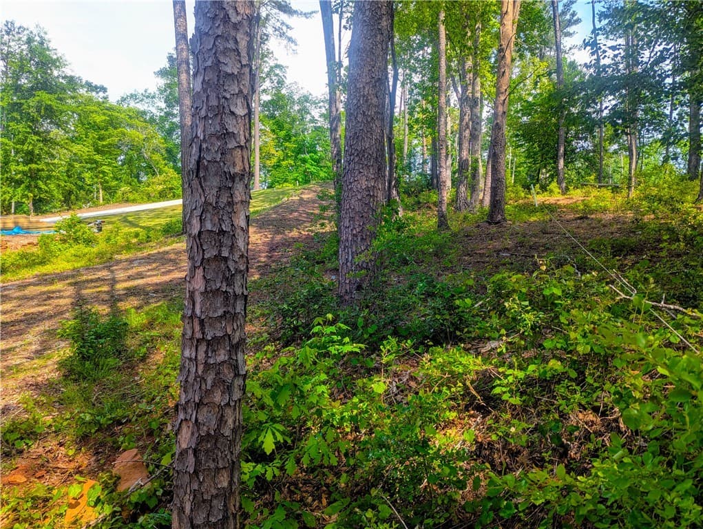 Property image 4 at 541 Peninsula Road, West Union, SC 29696