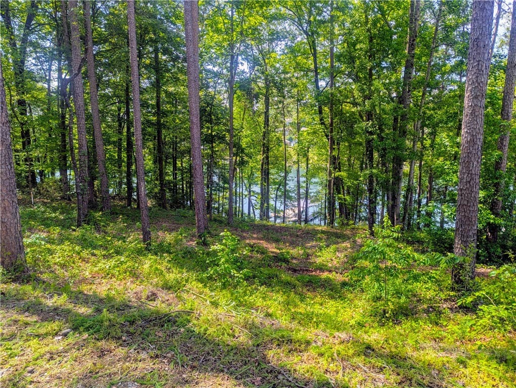 Property image 5 at 541 Peninsula Road, West Union, SC 29696