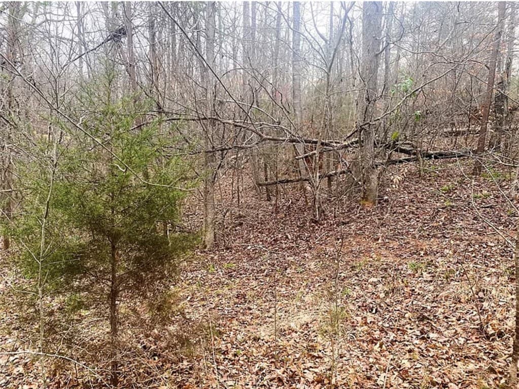 Property image 3 at 604 Cross Creek Street, Seneca, SC 29678