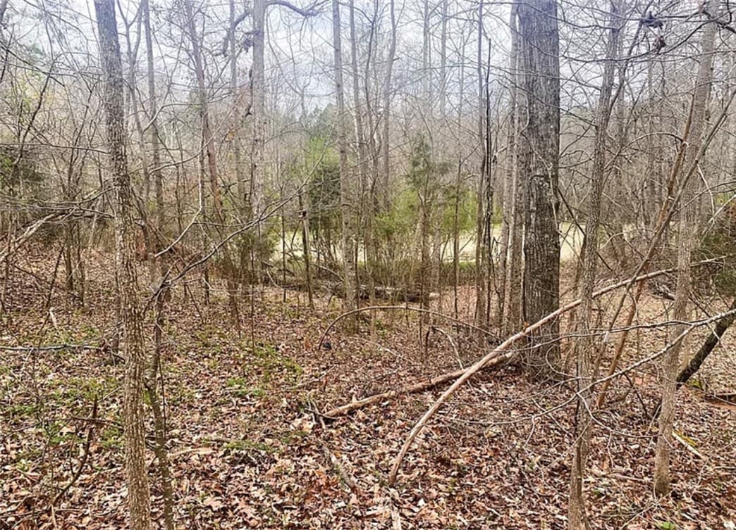 Property image 5 at 604 Cross Creek Street, Seneca, SC 29678