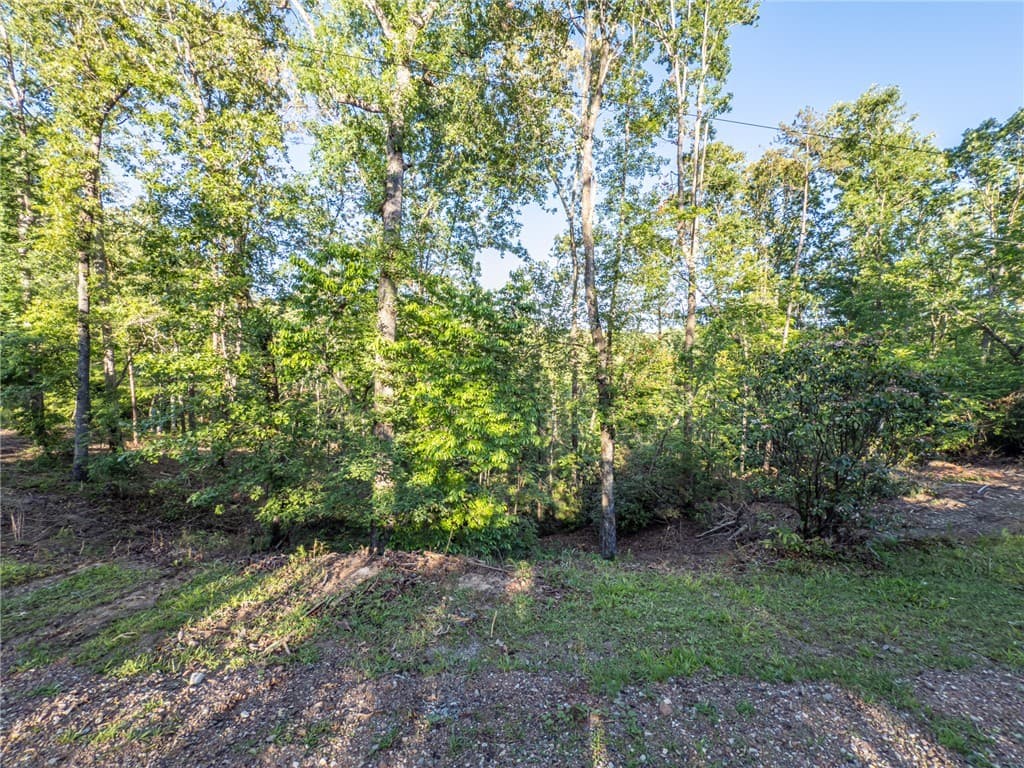 Property image 2 at Lot 21 Old Shallowford Bridge Road, Sunset, SC 29685