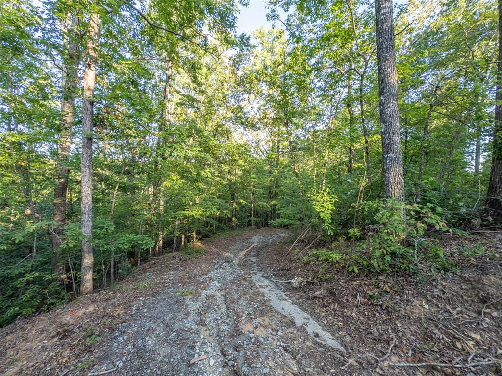 Property image 3 at Lot 22 Old Shallowford Bridge Road, Sunset, SC 29685