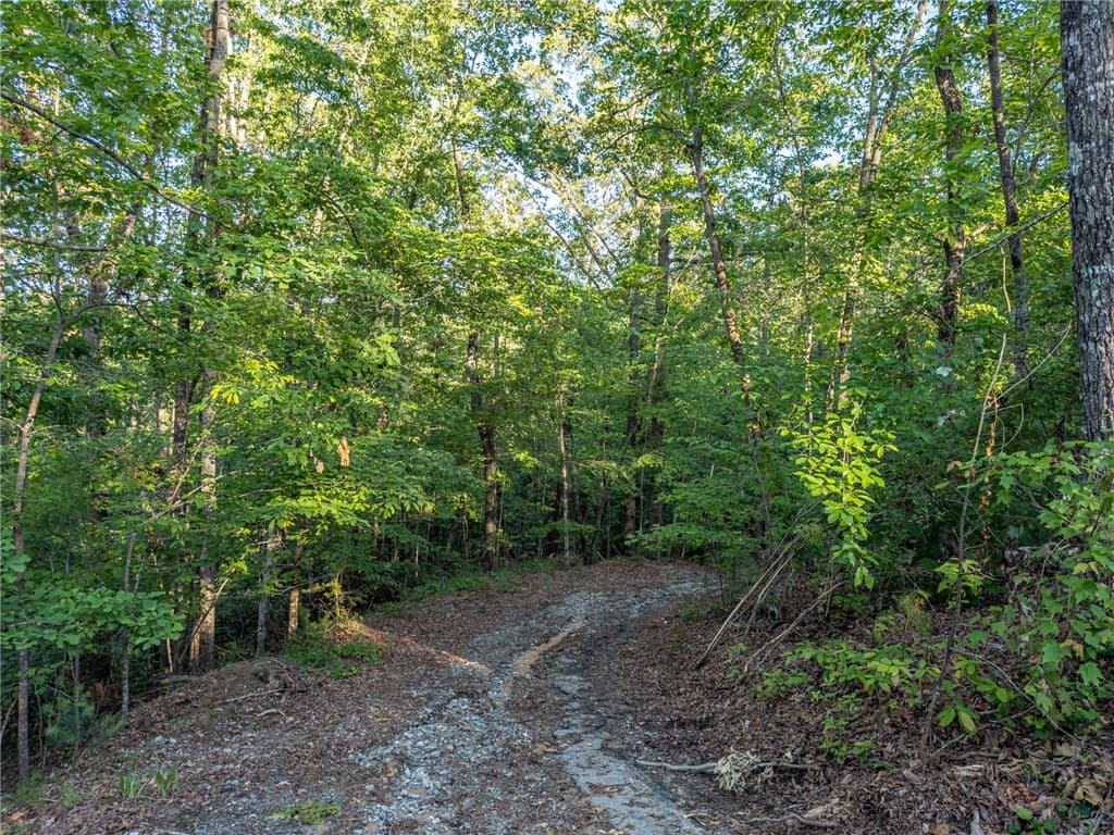 Property image 4 at Lot 22 Old Shallowford Bridge Road, Sunset, SC 29685