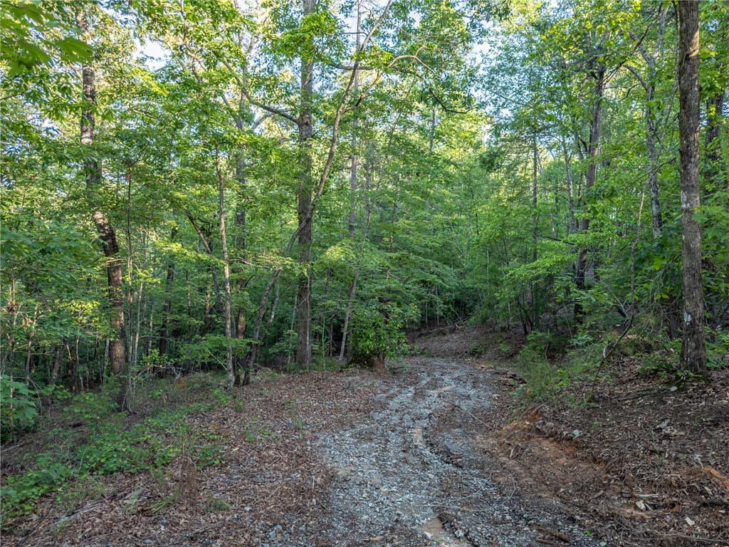 Property image 5 at Lot 22 Old Shallowford Bridge Road, Sunset, SC 29685