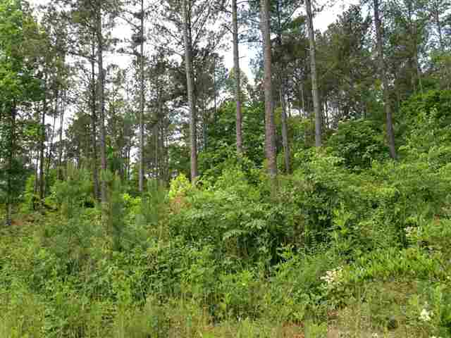 Property image 1 at Lot 59 Four Pointes, Salem, SC 29676