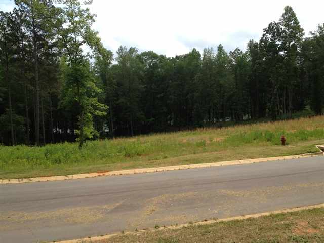 Property image 4 at Lot 59 Four Pointes, Salem, SC 29676