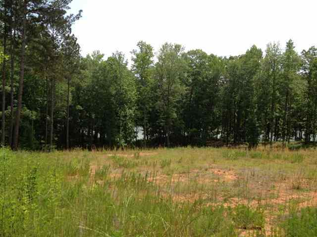 Property image 4 at Lot 41 Four Pointes, Salem, SC 29676