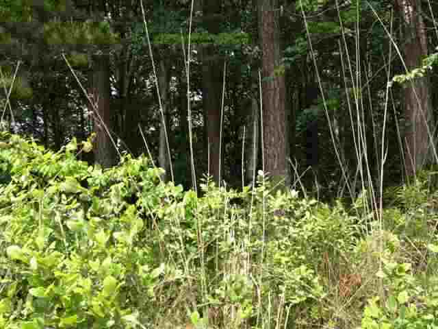 Property image 5 at Lot 41 Four Pointes, Salem, SC 29676
