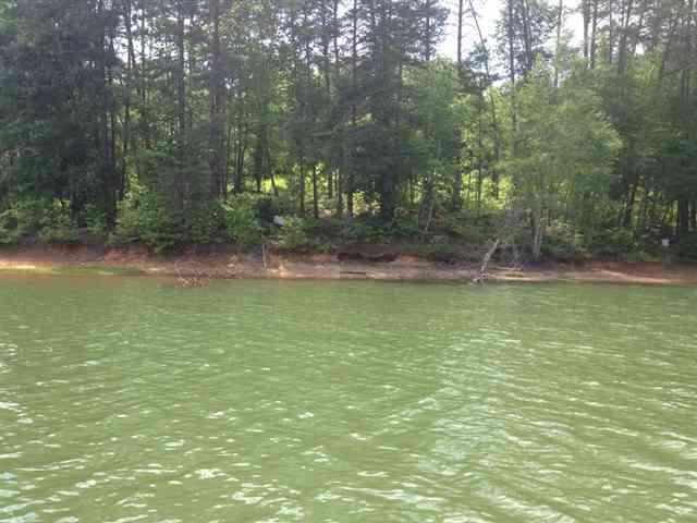 Property image 3 at Lot 29 Four Pointes, Salem, SC 29676