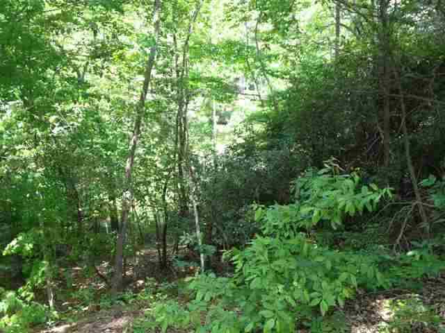 Property image 5 at Lot 7 Four Pointes, Salem, SC 29676