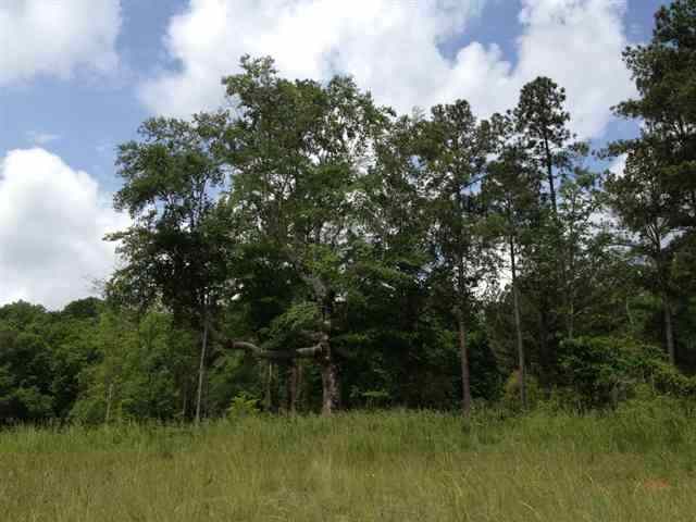 Property image 2 at Lot 56 Four Pointes North Natures View Dr, Salem, SC 29676