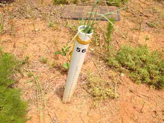 Property image 4 at Lot 56 Four Pointes North Natures View Dr, Salem, SC 29676