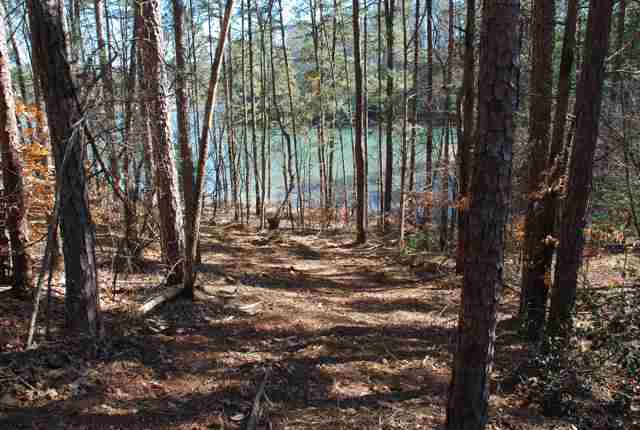 Property image 2 at Lot 12 Four Pointes, Salem, SC 29676