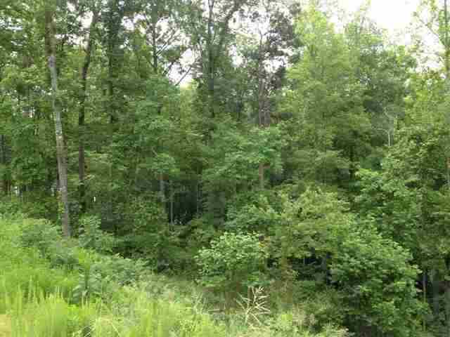 Property image 4 at Lot 12 Four Pointes, Salem, SC 29676