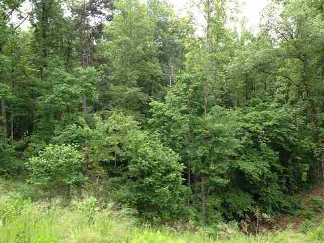 Property image 5 at Lot 12 Four Pointes, Salem, SC 29676