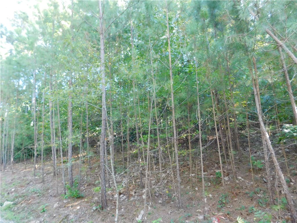 Lot 6 Bentwood Way