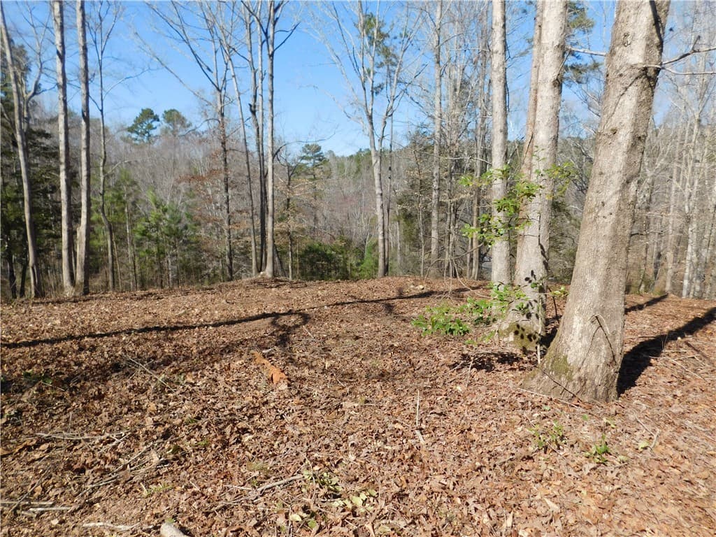 Property image 2 at 327 Cliffs South Parkway, Salem, SC 29676