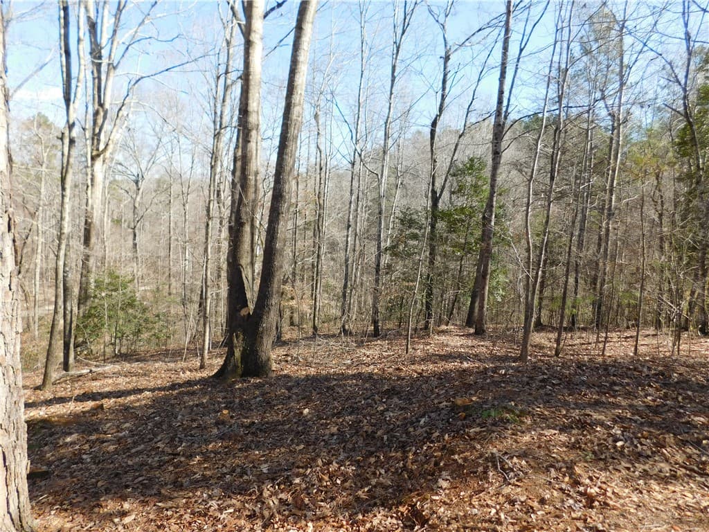 Property image 3 at 327 Cliffs South Parkway, Salem, SC 29676