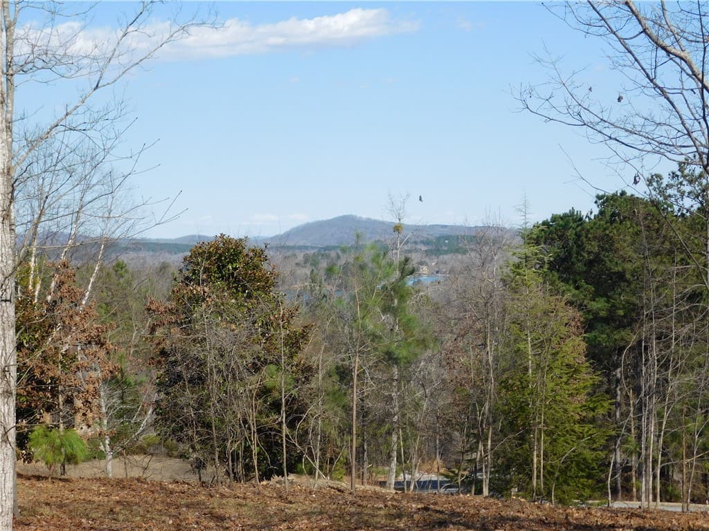 Property image 3 at Jc5 Eagle S Bend Trail, Salem, SC 29676