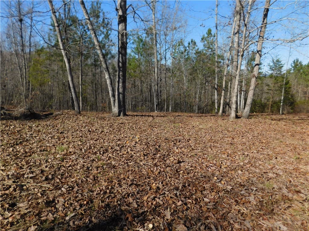 Property image 5 at Jc5 Eagle S Bend Trail, Salem, SC 29676